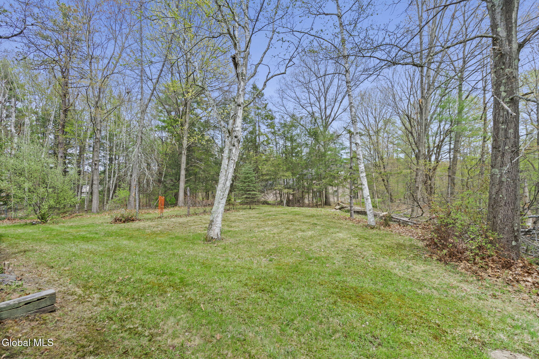 126 Normanskill Road Slingerlands NY 12159