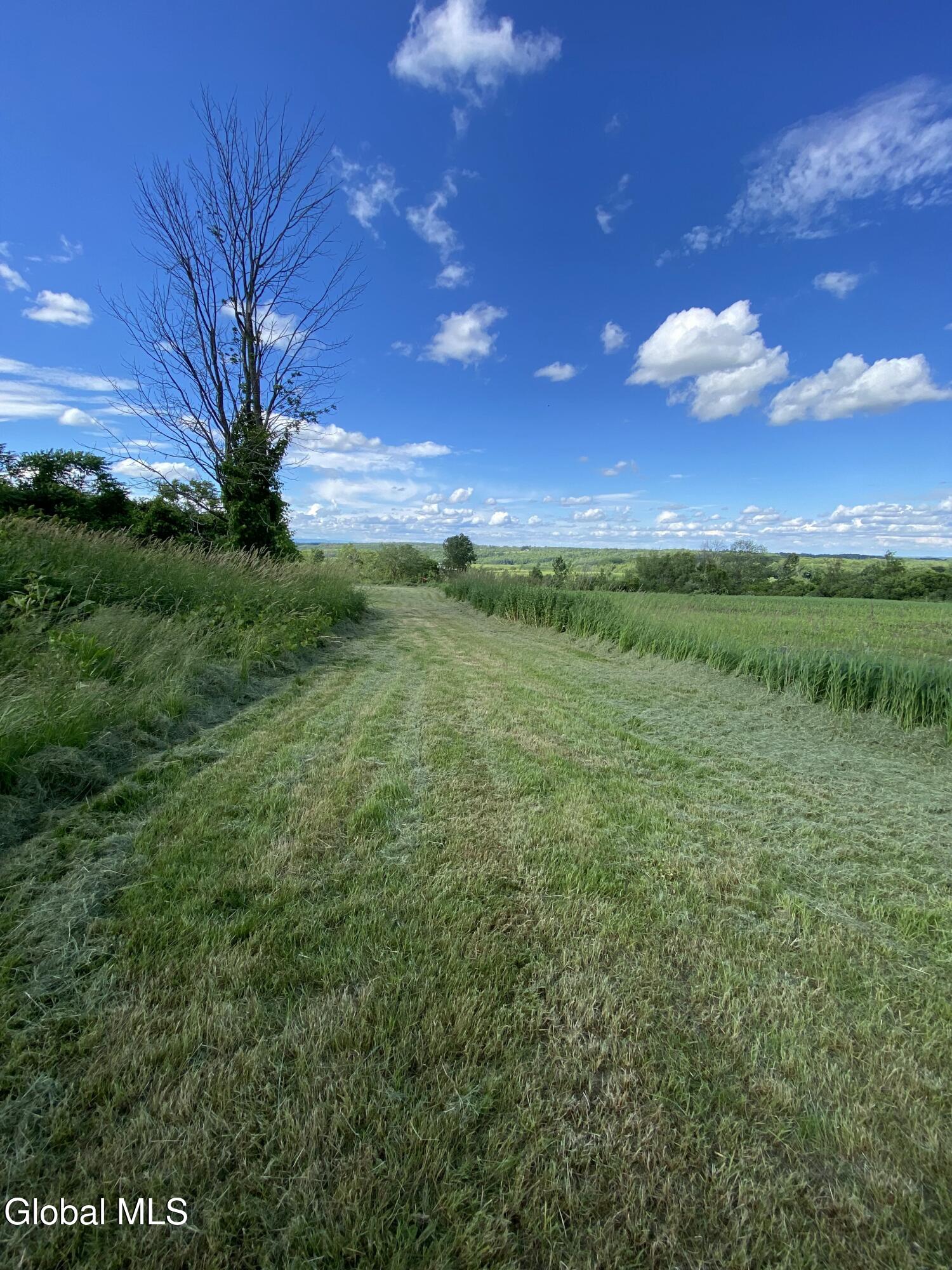 597 Staleyville Road Sharon Springs NY 13459