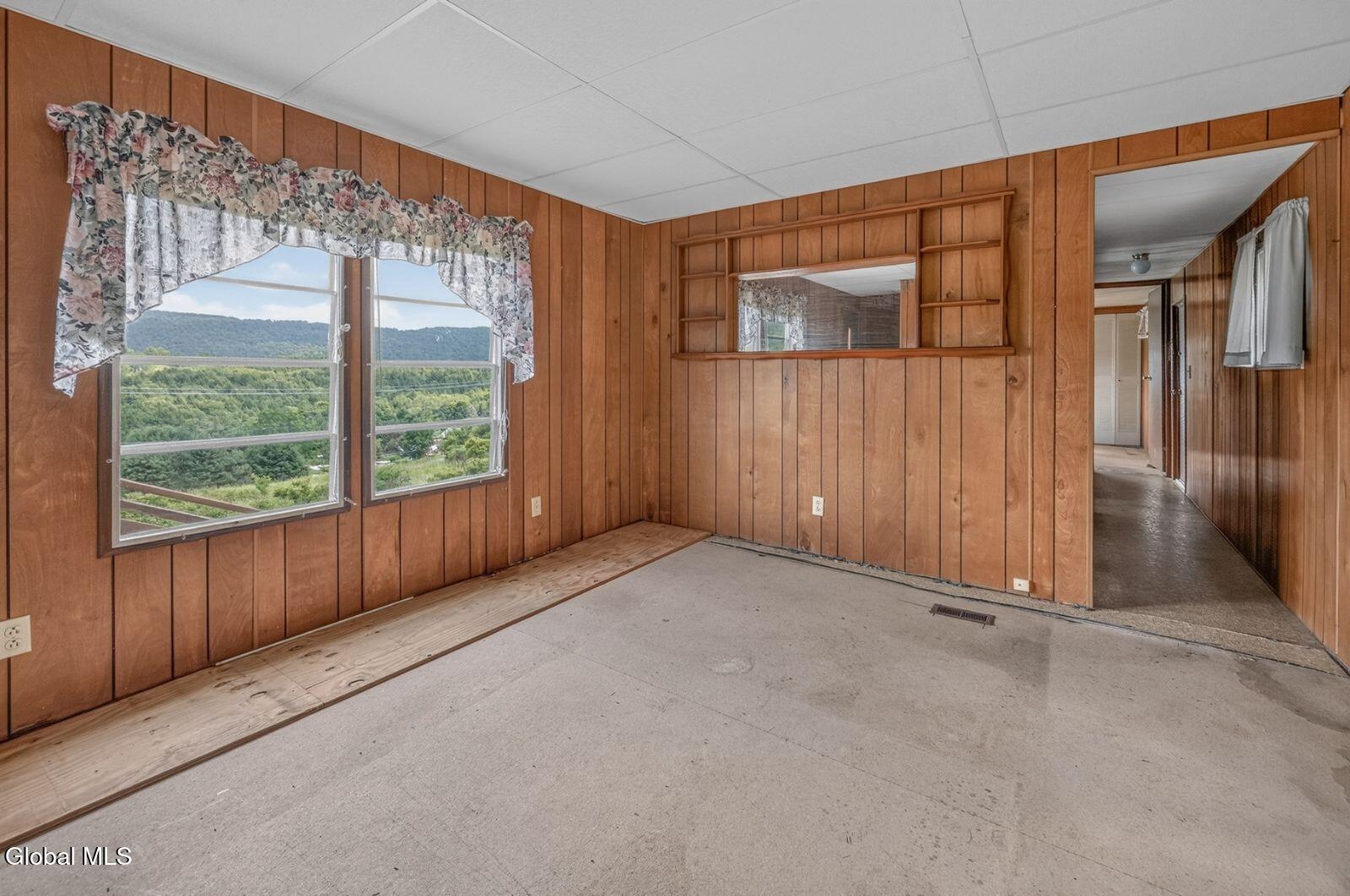 118 Lookout Drive Charlotteville NY 12175