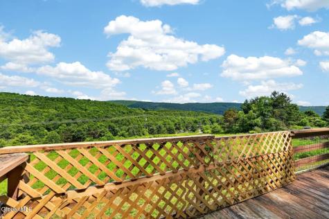 118 Lookout Drive Charlotteville NY 12175
