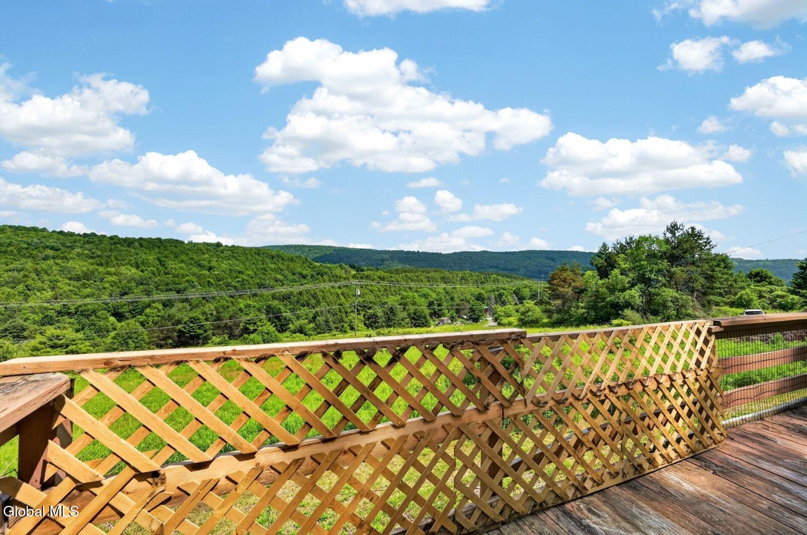 118 Lookout Drive Charlotteville NY 12175