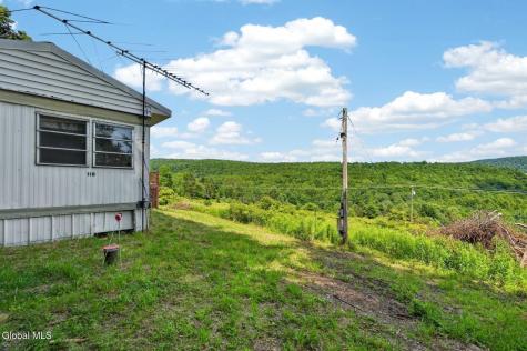 118 Lookout Drive Charlotteville NY 12175