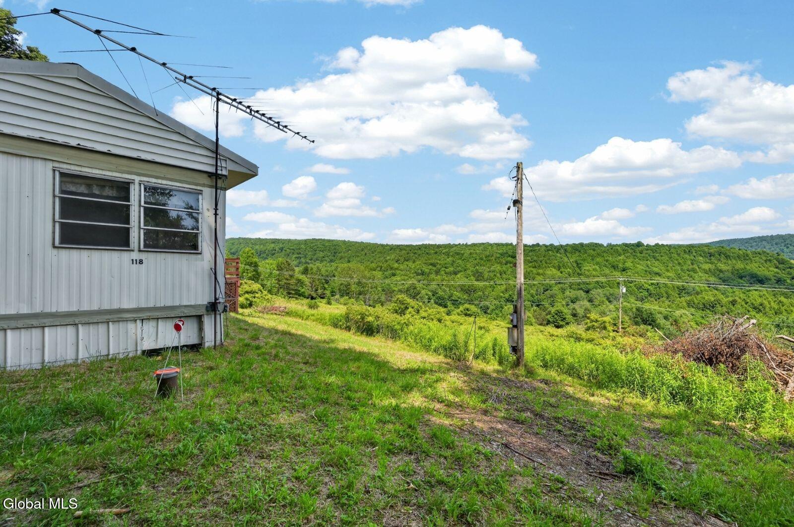 118 Lookout Drive Charlotteville NY 12175