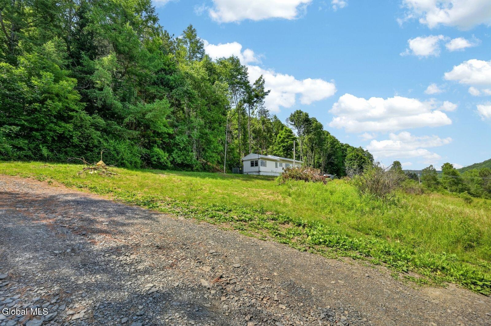 118 Lookout Drive Charlotteville NY 12175