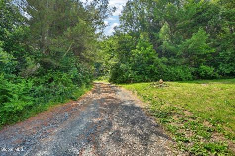 118 Lookout Drive Charlotteville NY 12175
