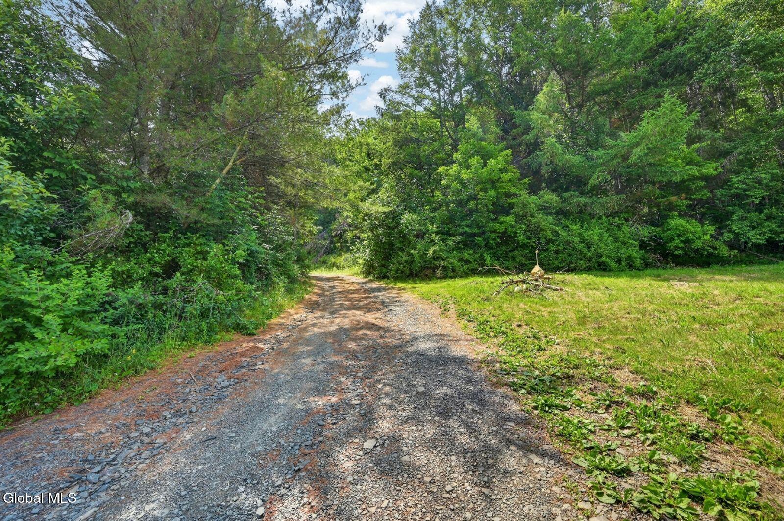 118 Lookout Drive Charlotteville NY 12175