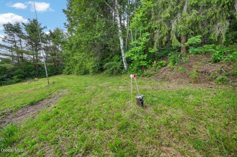 118 Lookout Drive Charlotteville NY 12175