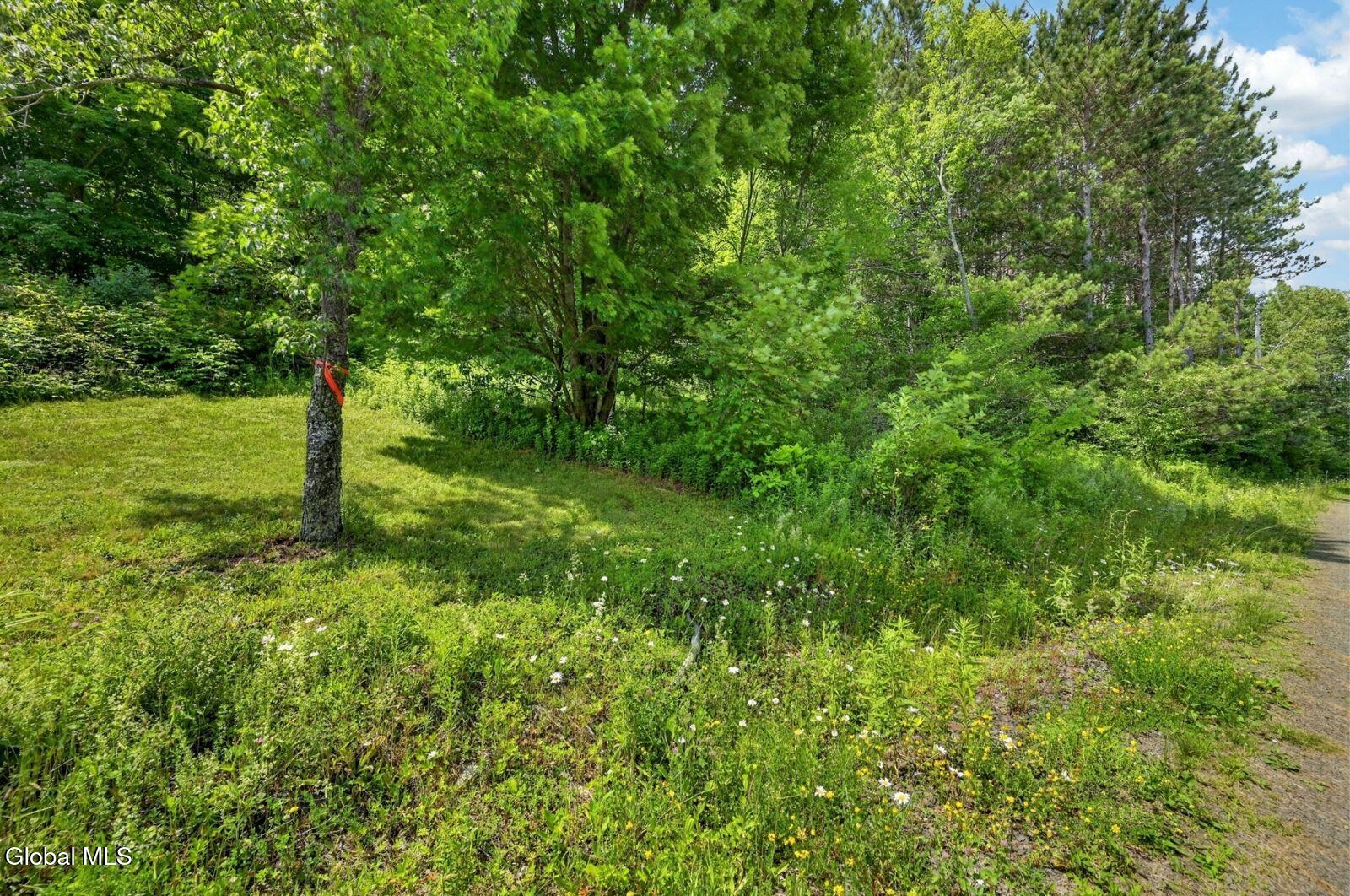 118 Lookout Drive Charlotteville NY 12175
