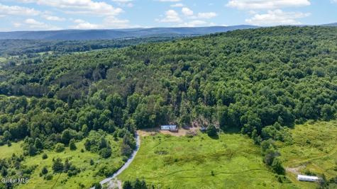 118 Lookout Drive Charlotteville NY 12175