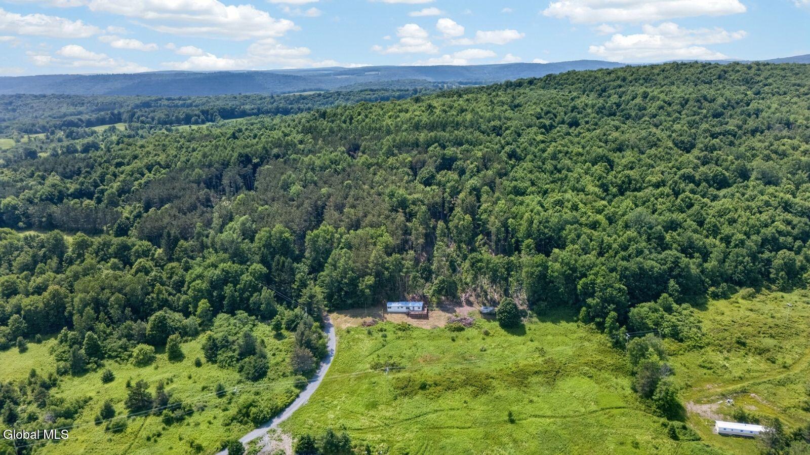 118 Lookout Drive Charlotteville NY 12175