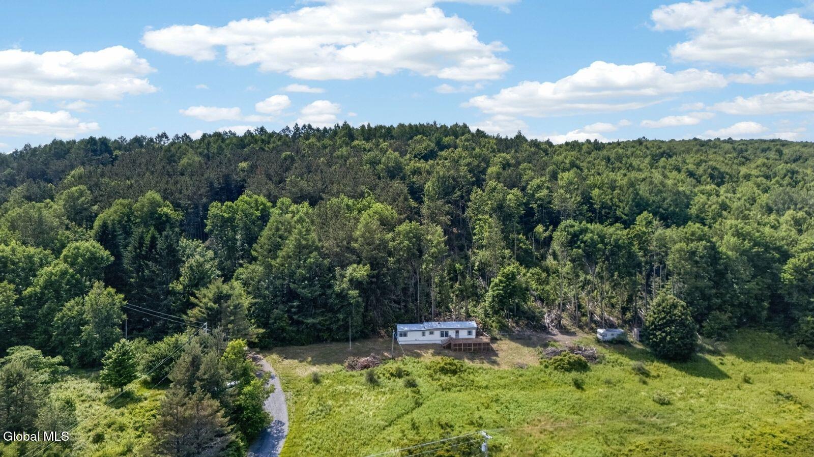 118 Lookout Drive Charlotteville NY 12175
