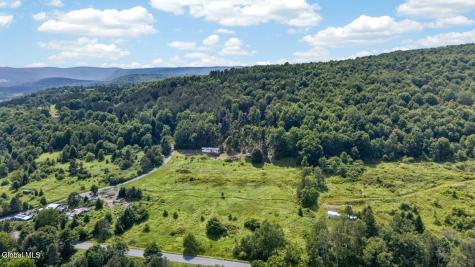 118 Lookout Drive Charlotteville NY 12175