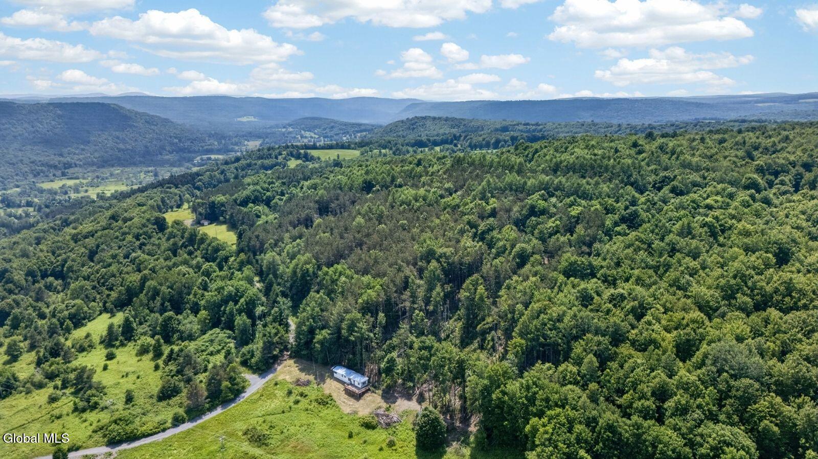 118 Lookout Drive Charlotteville NY 12175