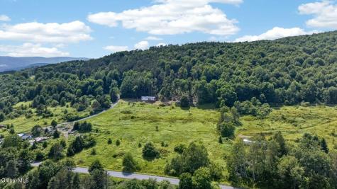 118 Lookout Drive Charlotteville NY 12175