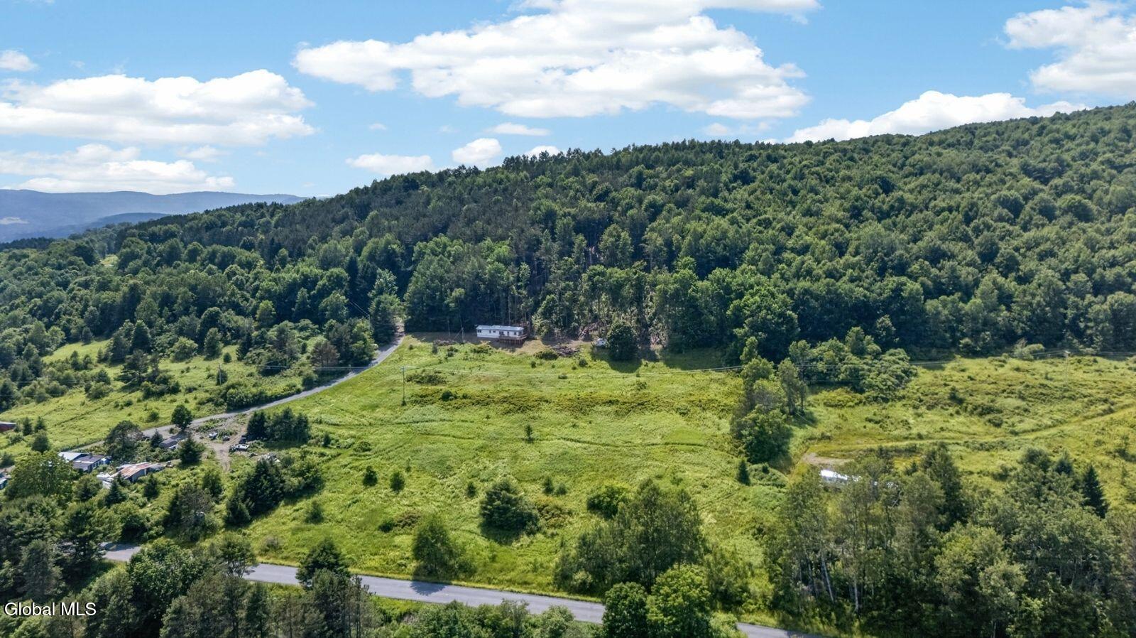 118 Lookout Drive Charlotteville NY 12175