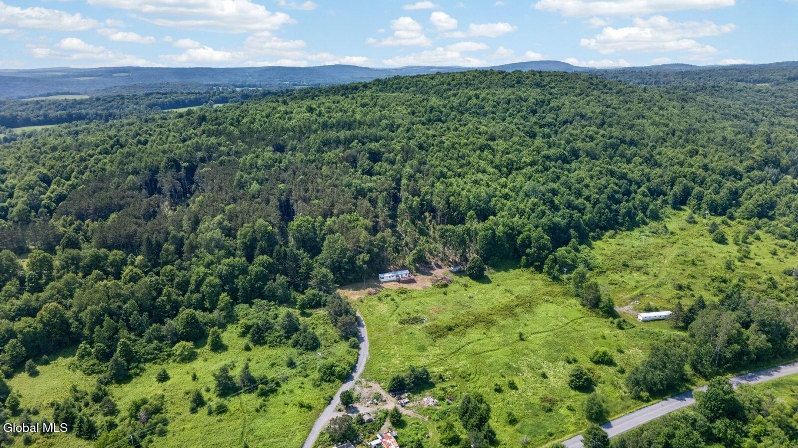 118 Lookout Drive Charlotteville NY 12175