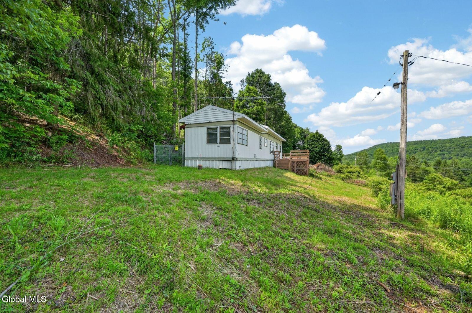 118 Lookout Drive Charlotteville NY 12175