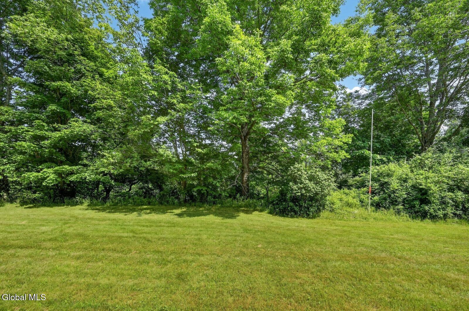 118 Lookout Drive Charlotteville NY 12175