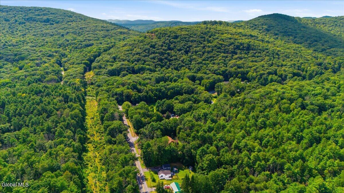 162 Spier Falls Road Gansevoort NY 12803