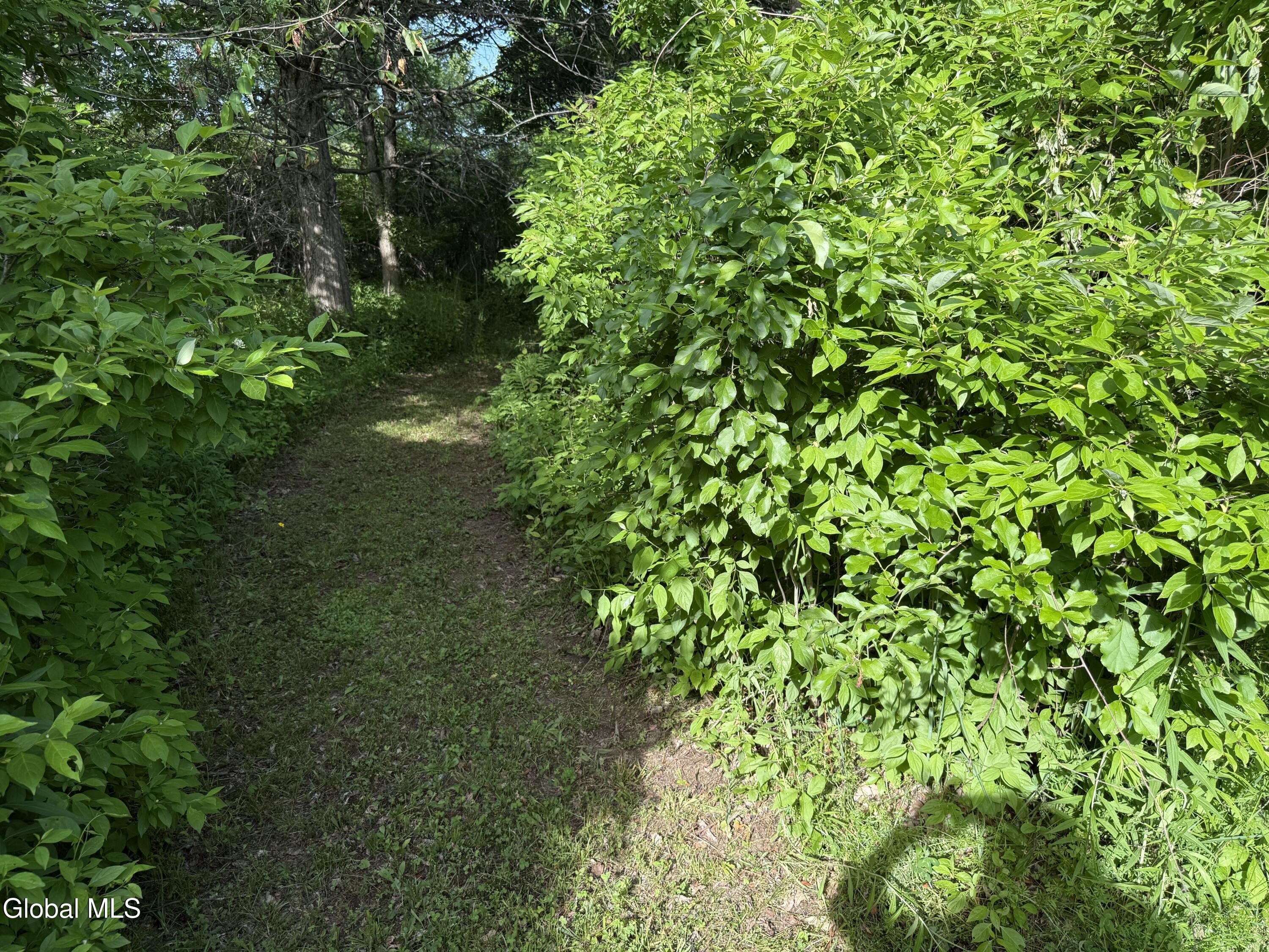 431 Melrose Valley Falls Road Melrose NY 12121