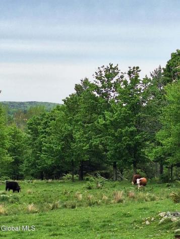 53 Snyder Road Cropseyville NY 12052