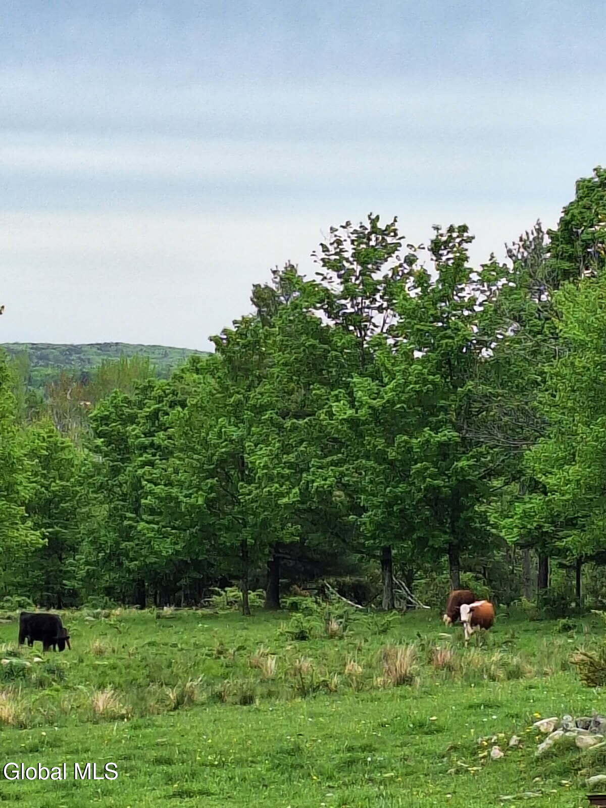 53 Snyder Road Cropseyville NY 12052