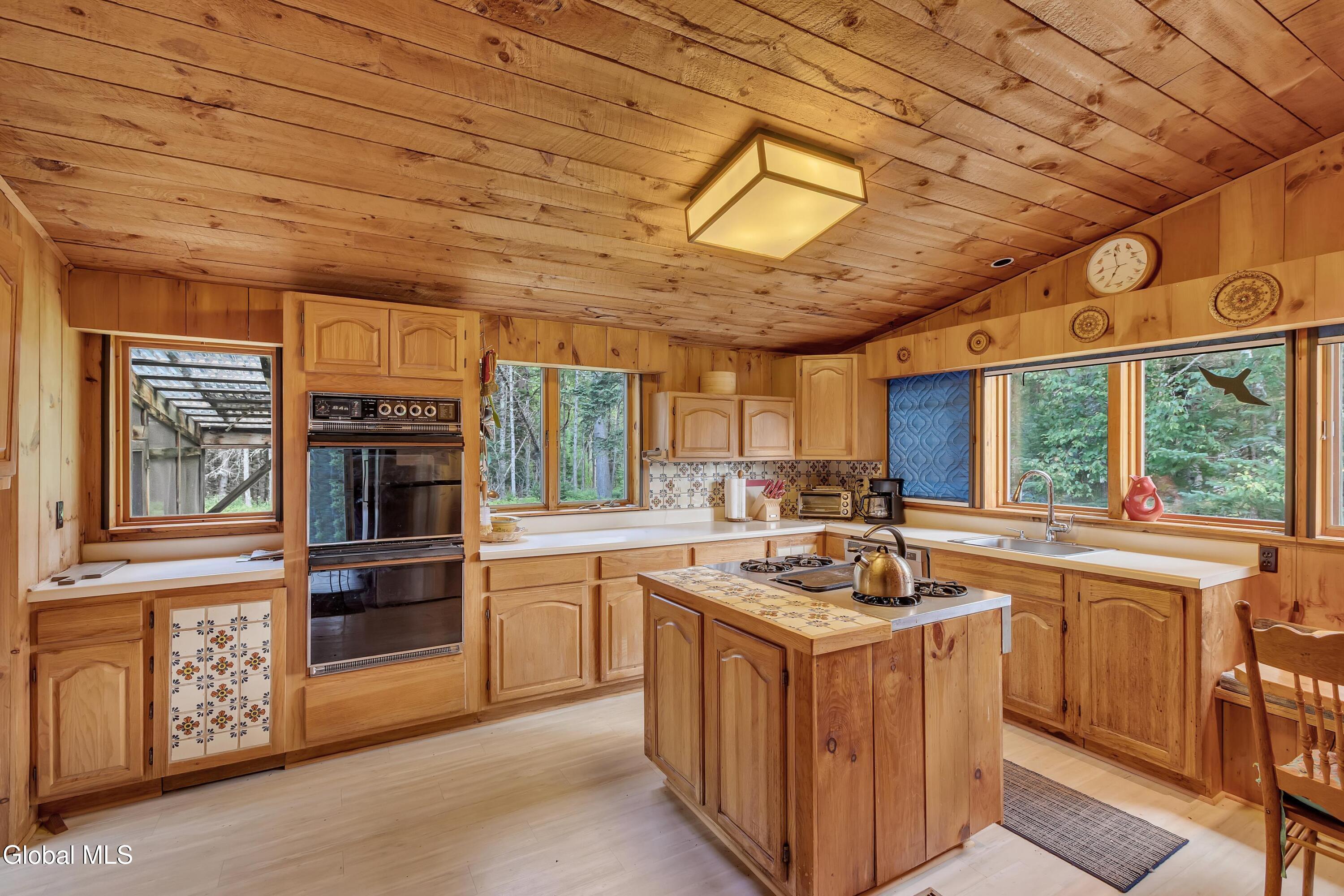 617 Big Brook Road Indian Lake NY 12842
