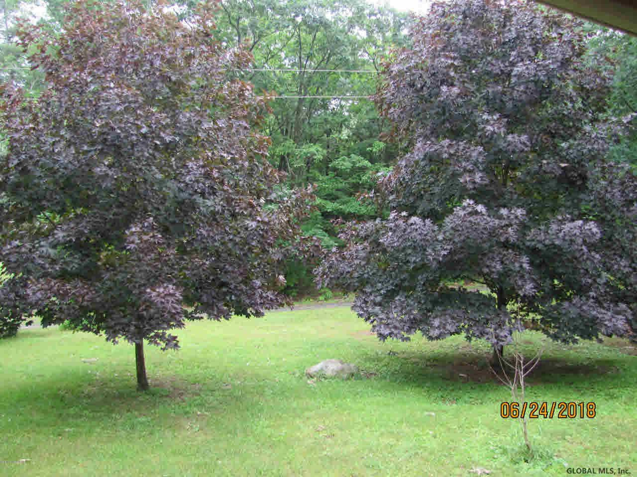 183 Wicked Hollow Way Hampton NY 12837