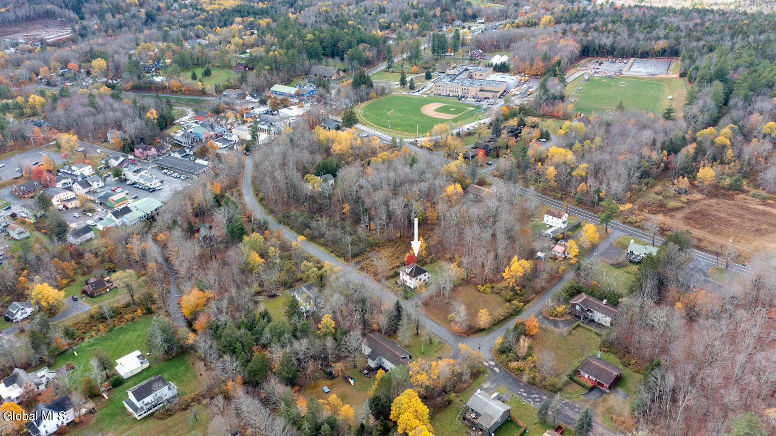 77 Brookside Drive Tannersville NY 12485