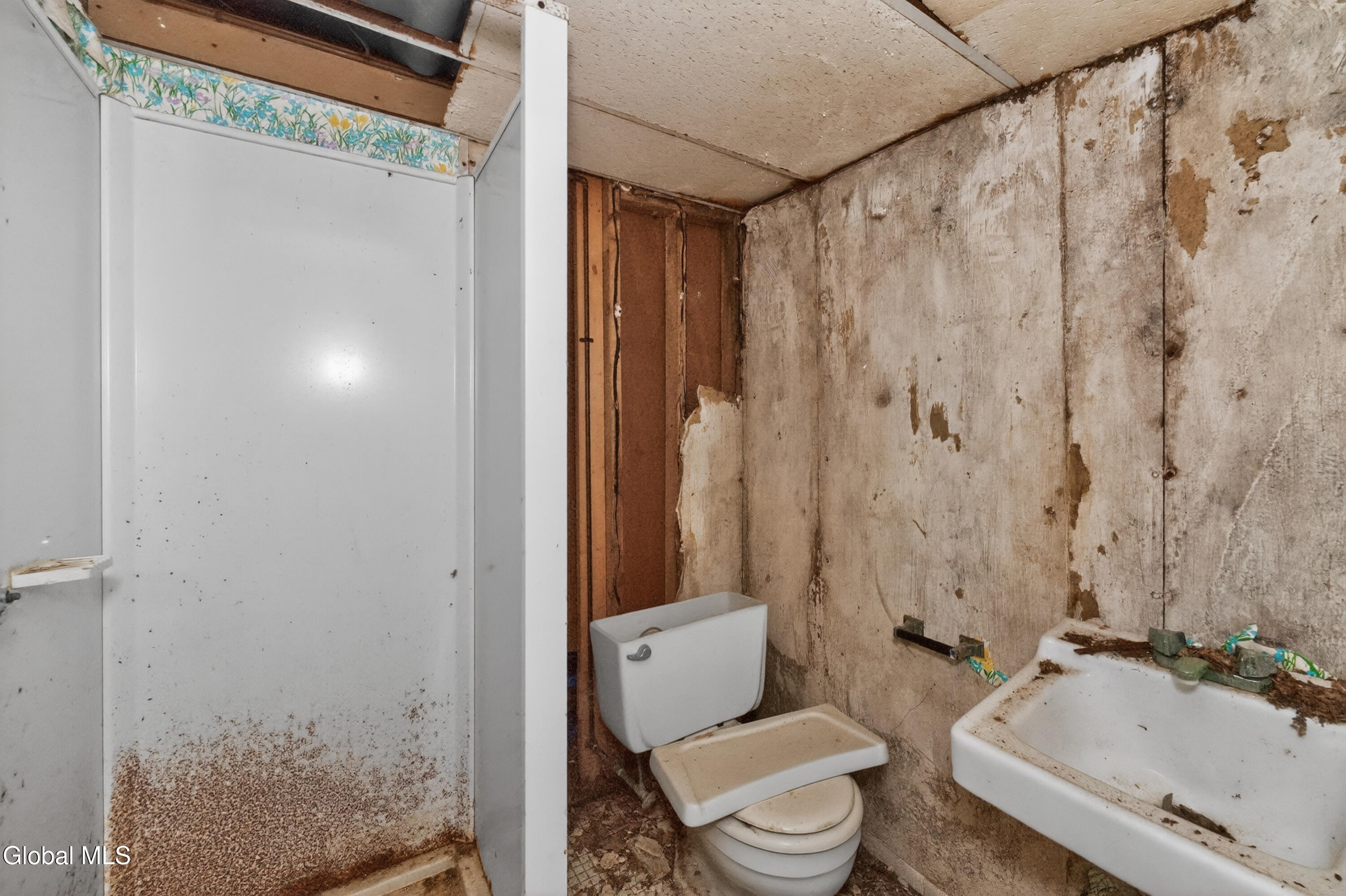 20 Alsid Court Troy NY 12180