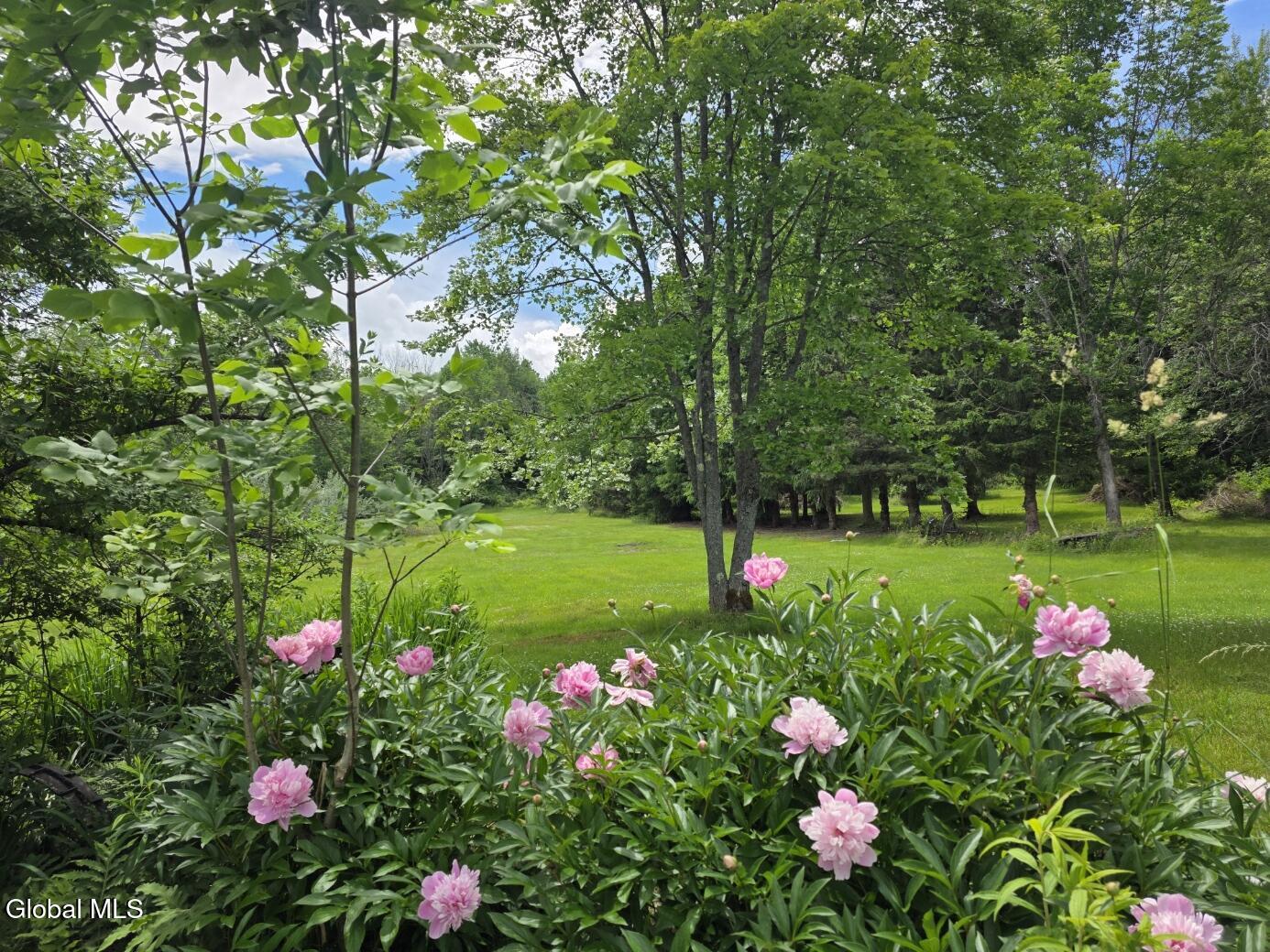 419 Halbert Hill Road Butternuts NY 13776