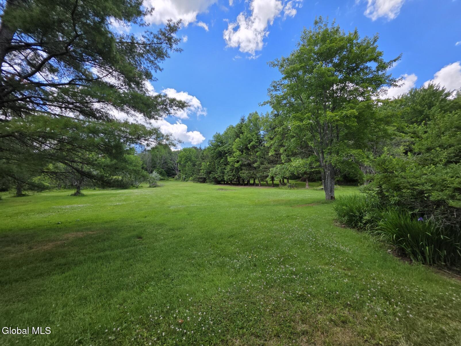 419 Halbert Hill Road Butternuts NY 13776