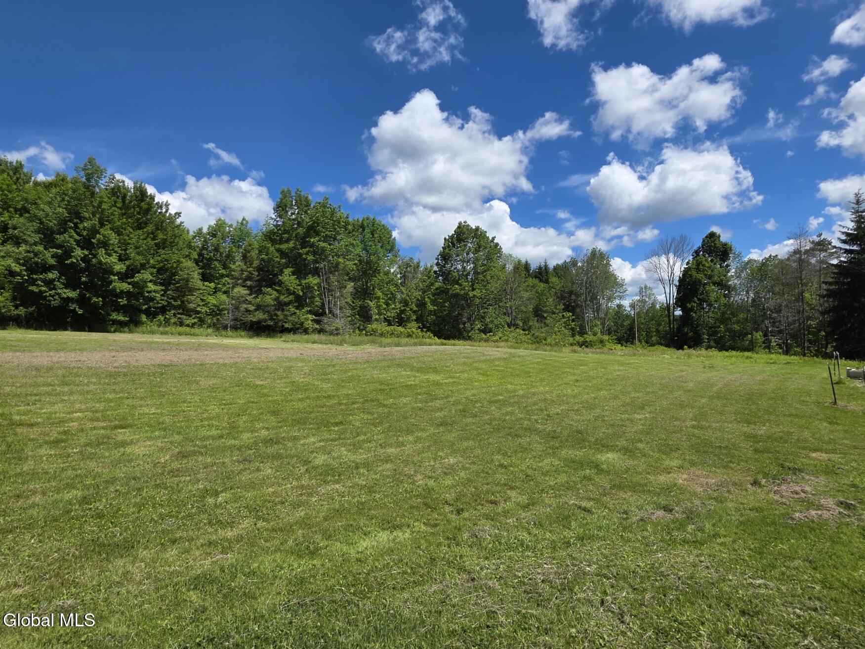 419 Halbert Hill Road Butternuts NY 13776