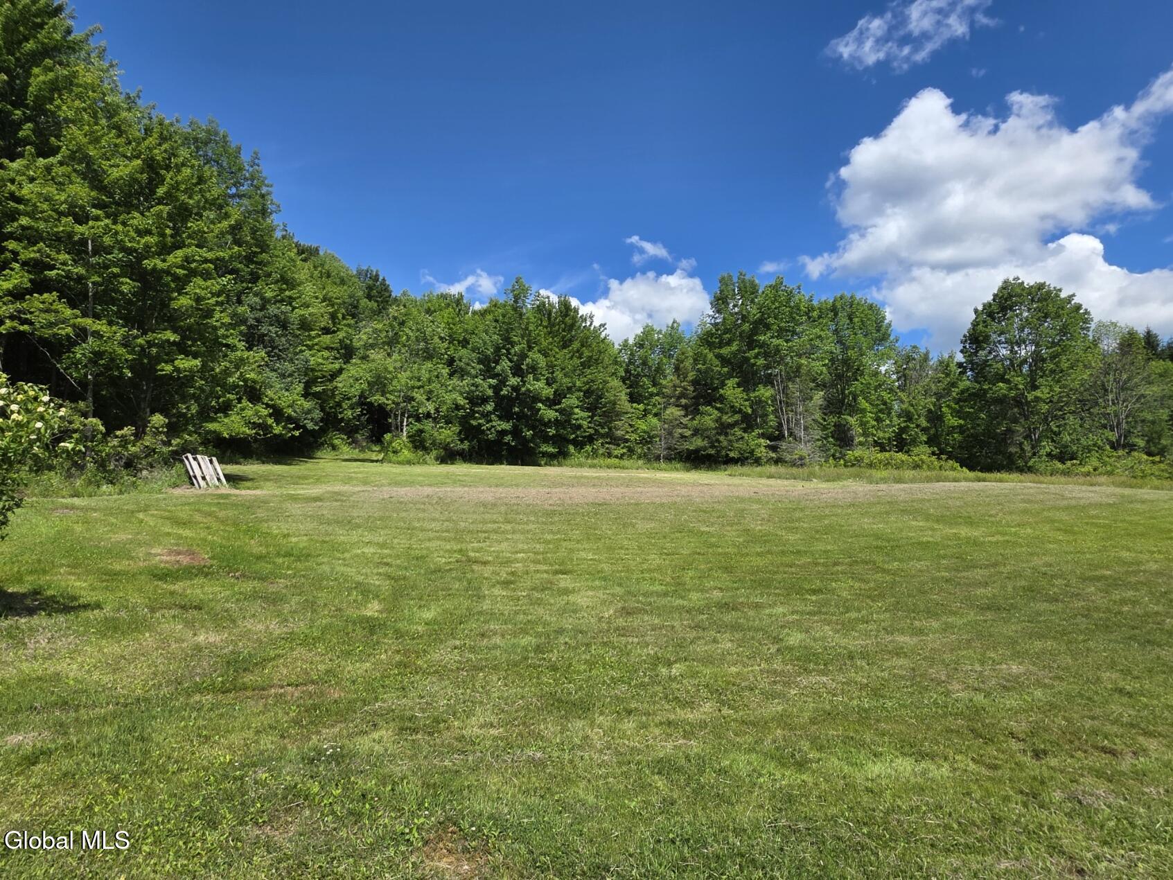 419 Halbert Hill Road Butternuts NY 13776