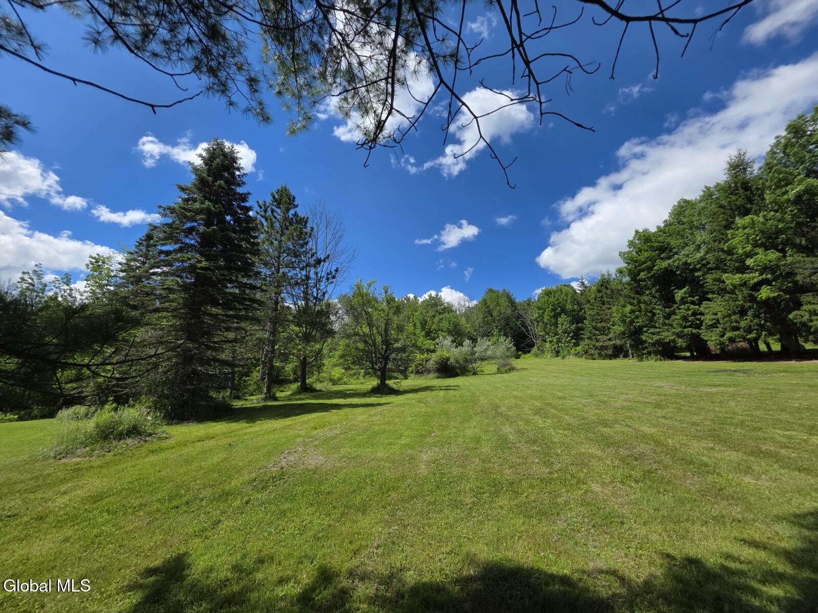 419 Halbert Hill Road Butternuts NY 13776