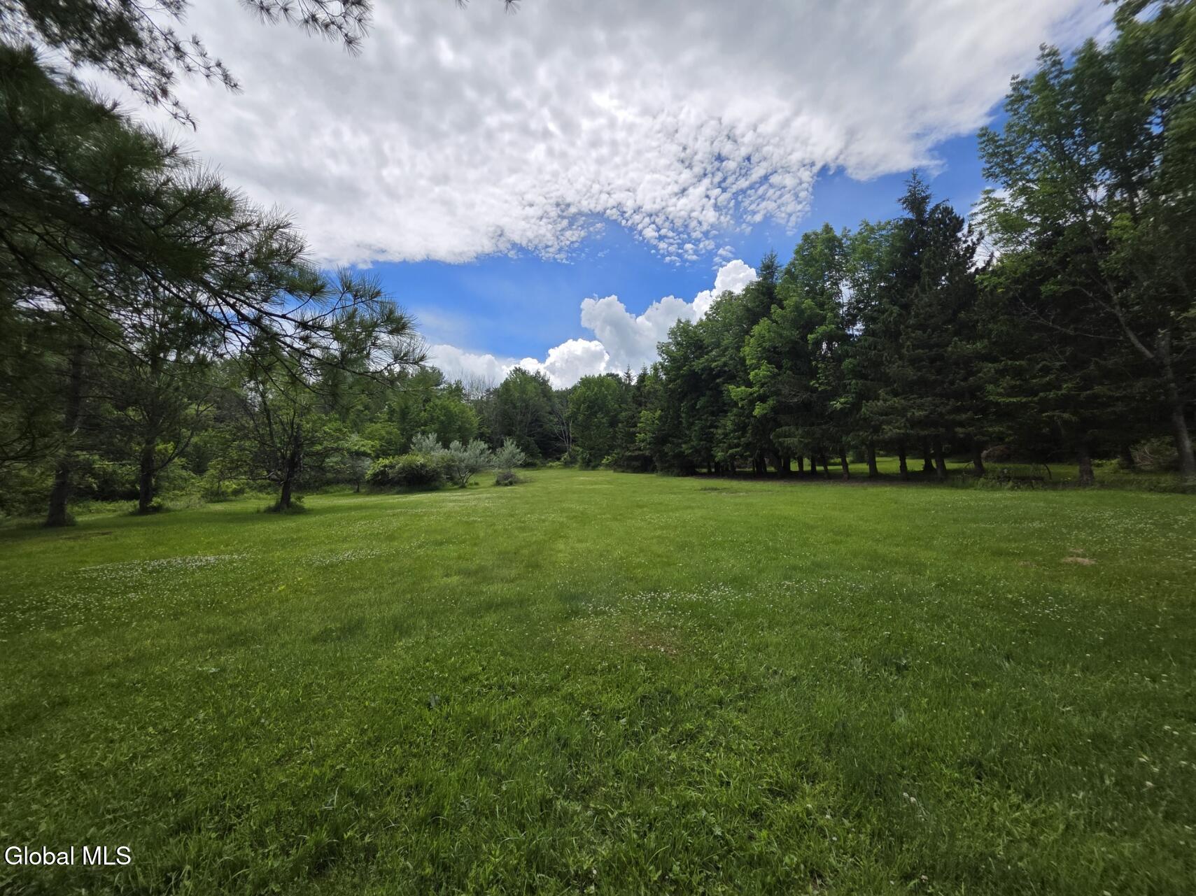 419 Halbert Hill Road Butternuts NY 13776