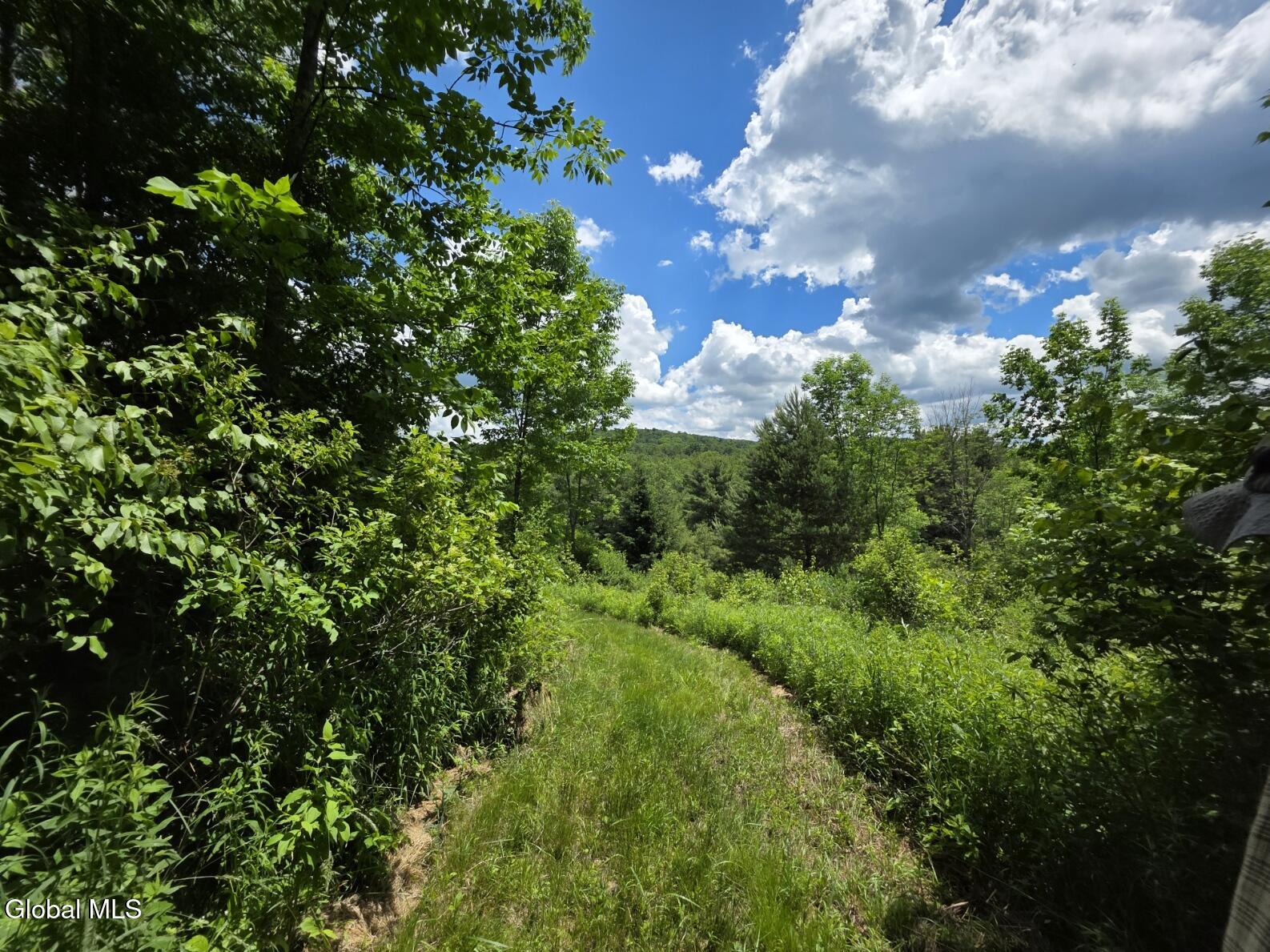 419 Halbert Hill Road Butternuts NY 13776