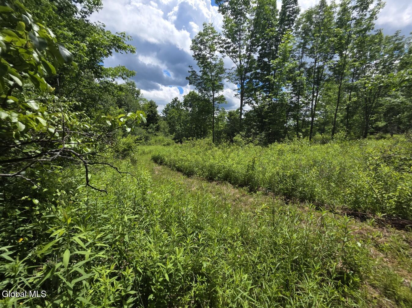 419 Halbert Hill Road Butternuts NY 13776