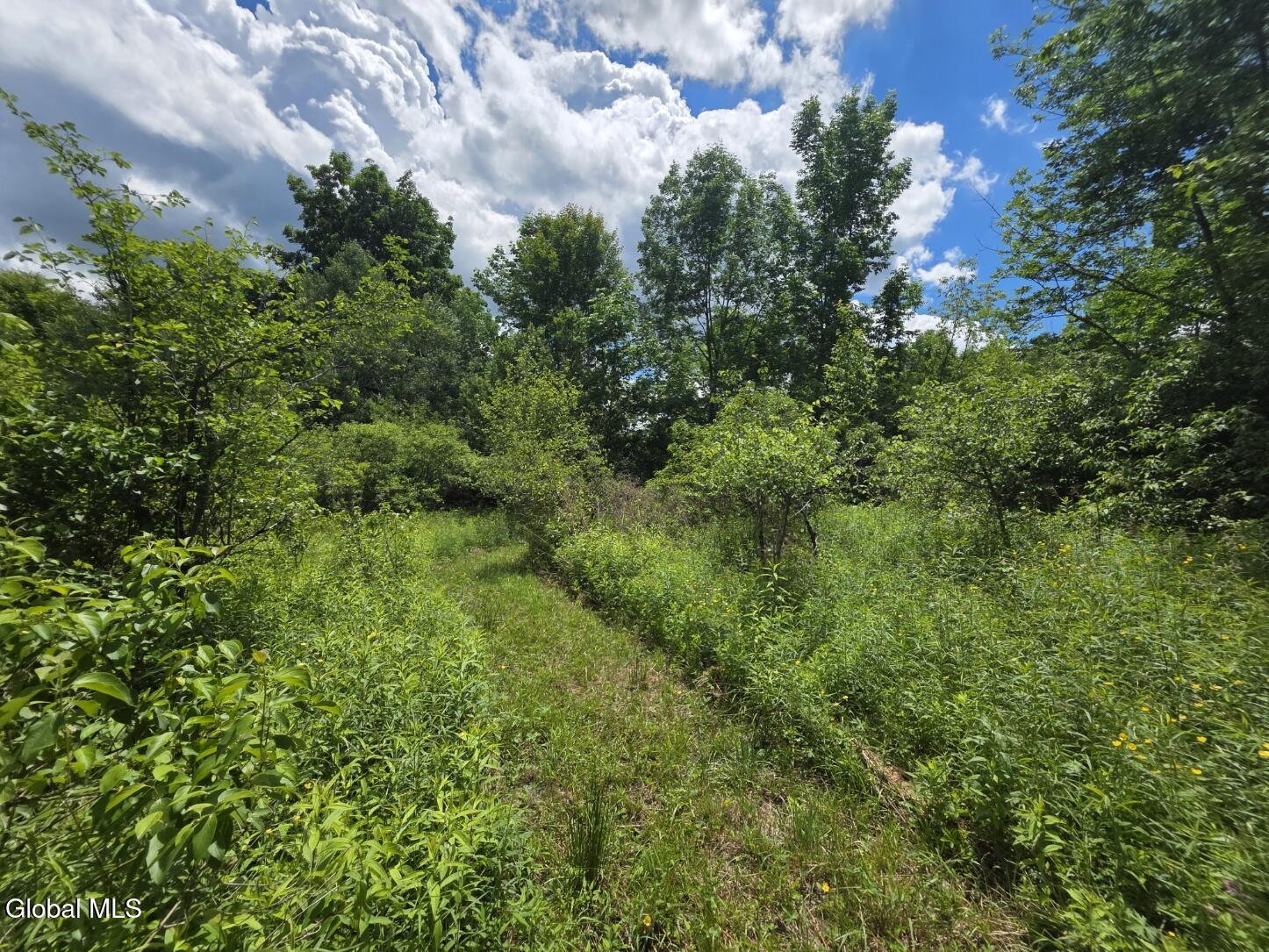 419 Halbert Hill Road Butternuts NY 13776