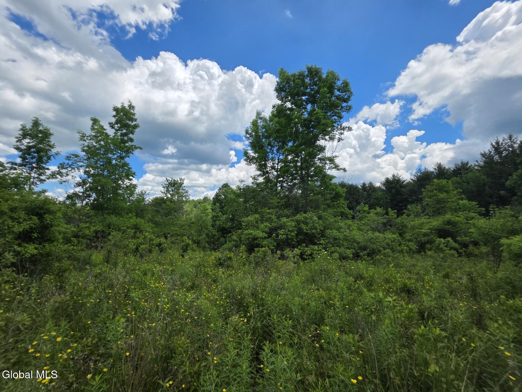 419 Halbert Hill Road Butternuts NY 13776