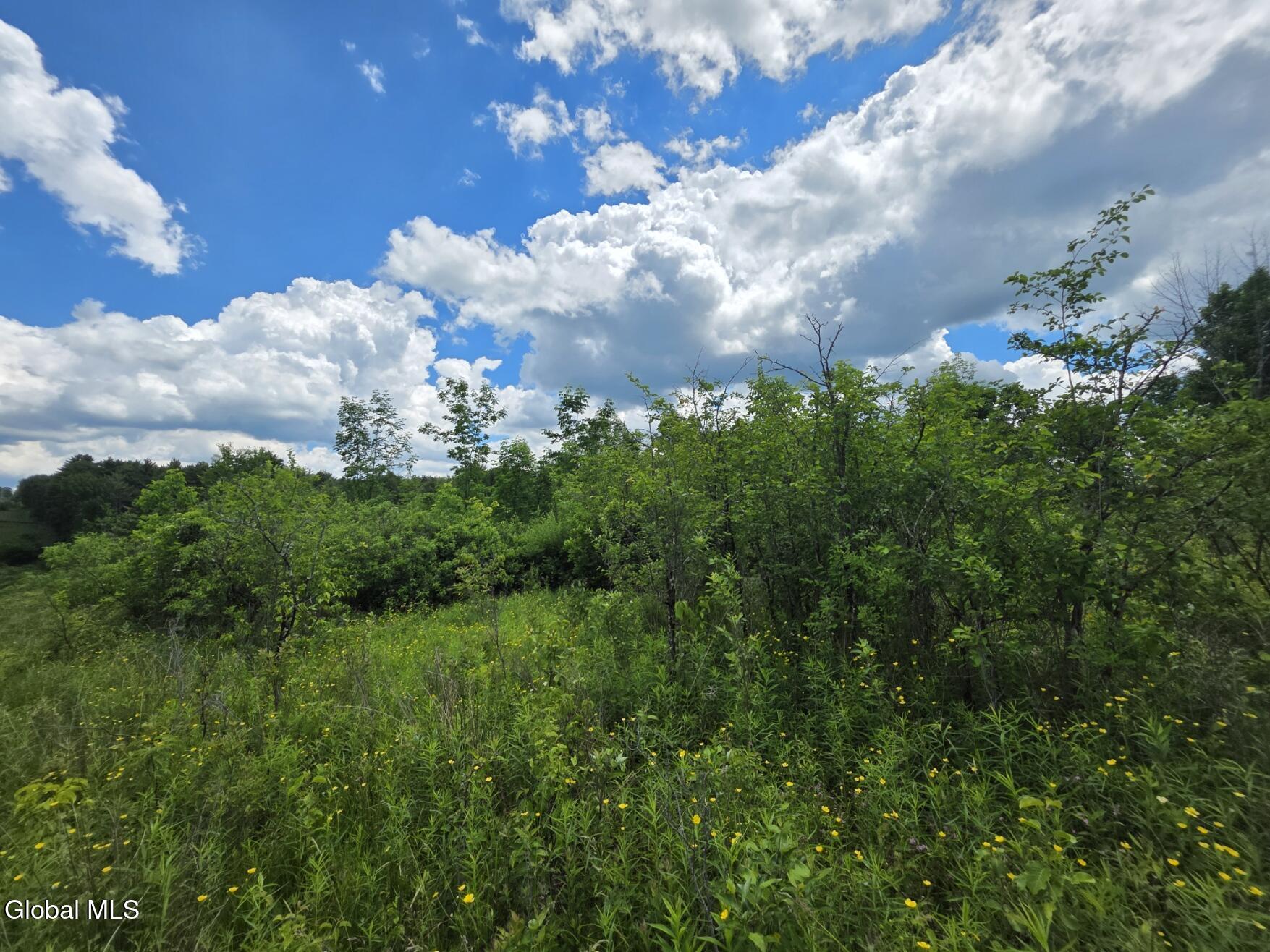 419 Halbert Hill Road Butternuts NY 13776