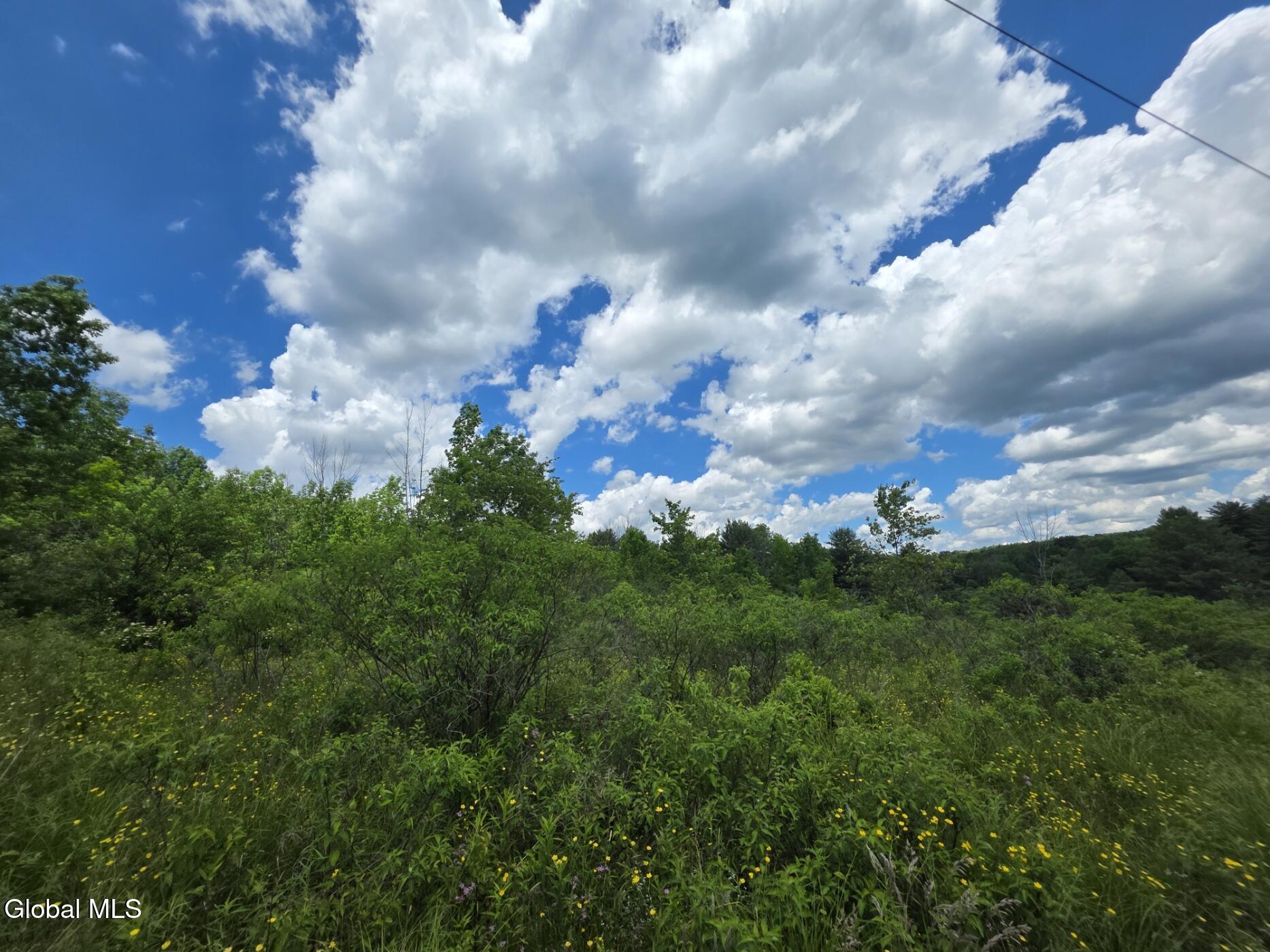 419 Halbert Hill Road Butternuts NY 13776