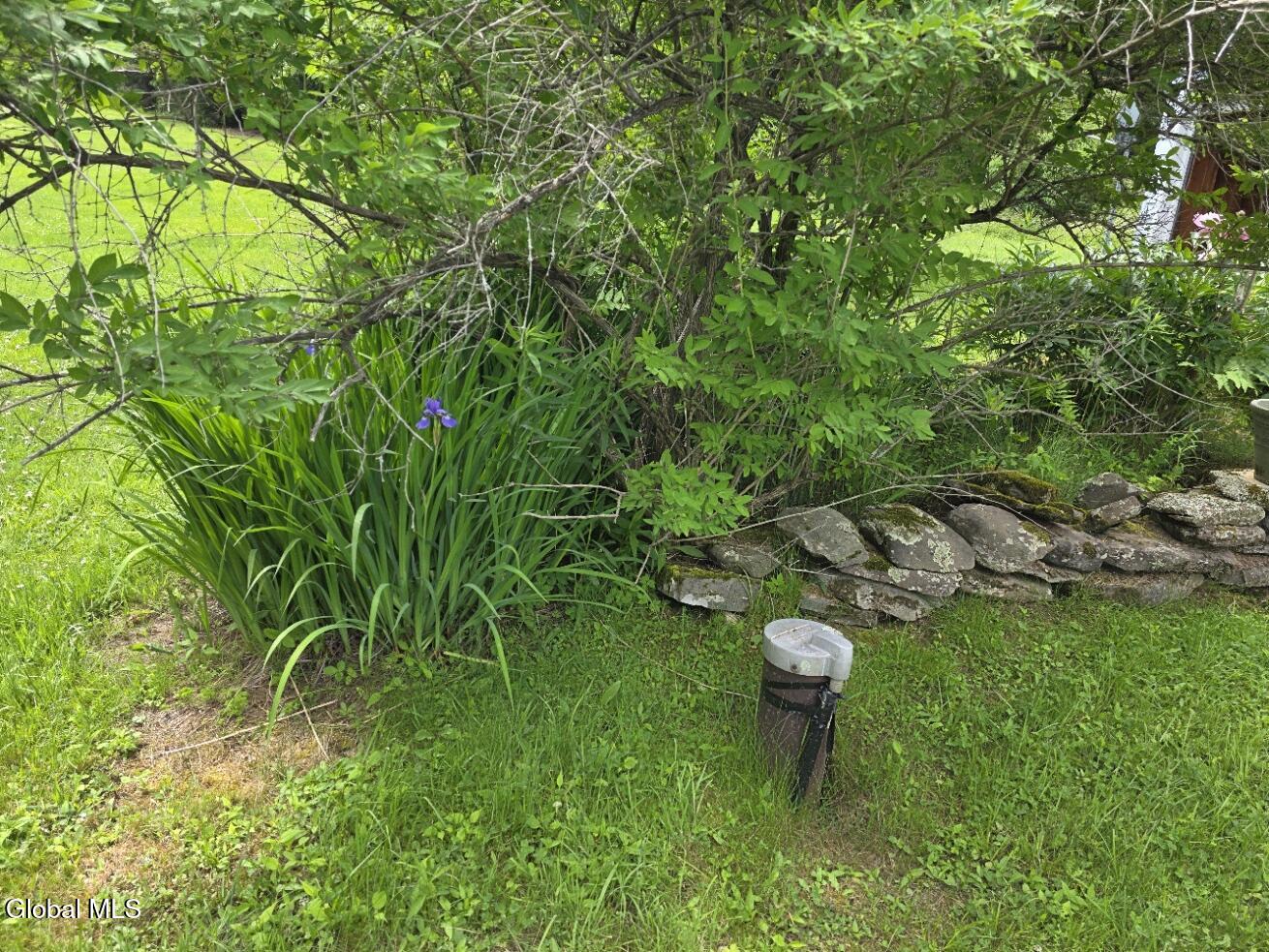 419 Halbert Hill Road Butternuts NY 13776