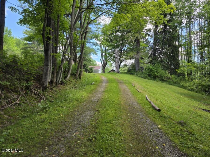 419 Halbert Hill Road Butternuts NY 13776