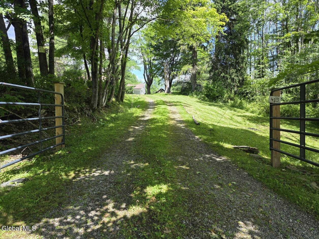 419 Halbert Hill Road Butternuts NY 13776