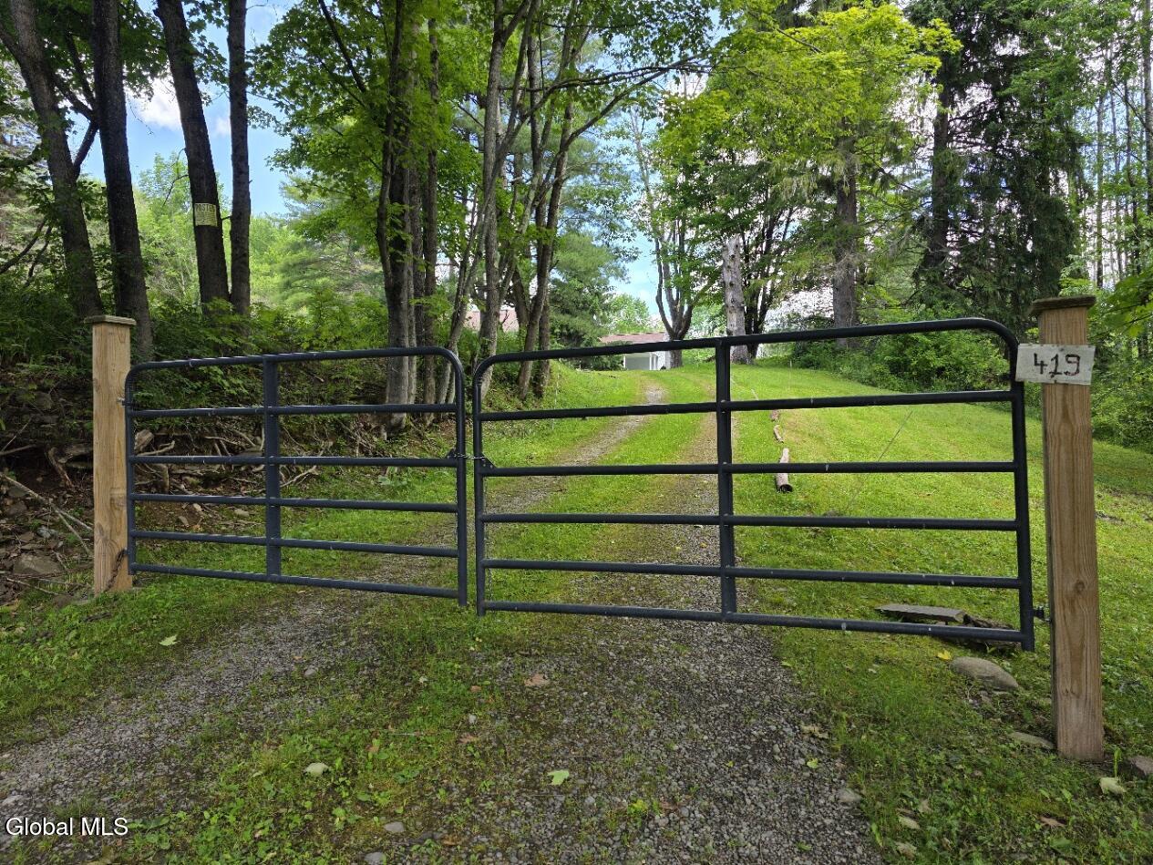 419 Halbert Hill Road Butternuts NY 13776