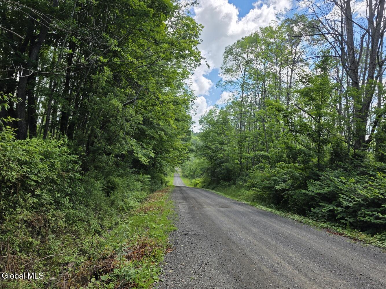 419 Halbert Hill Road Butternuts NY 13776