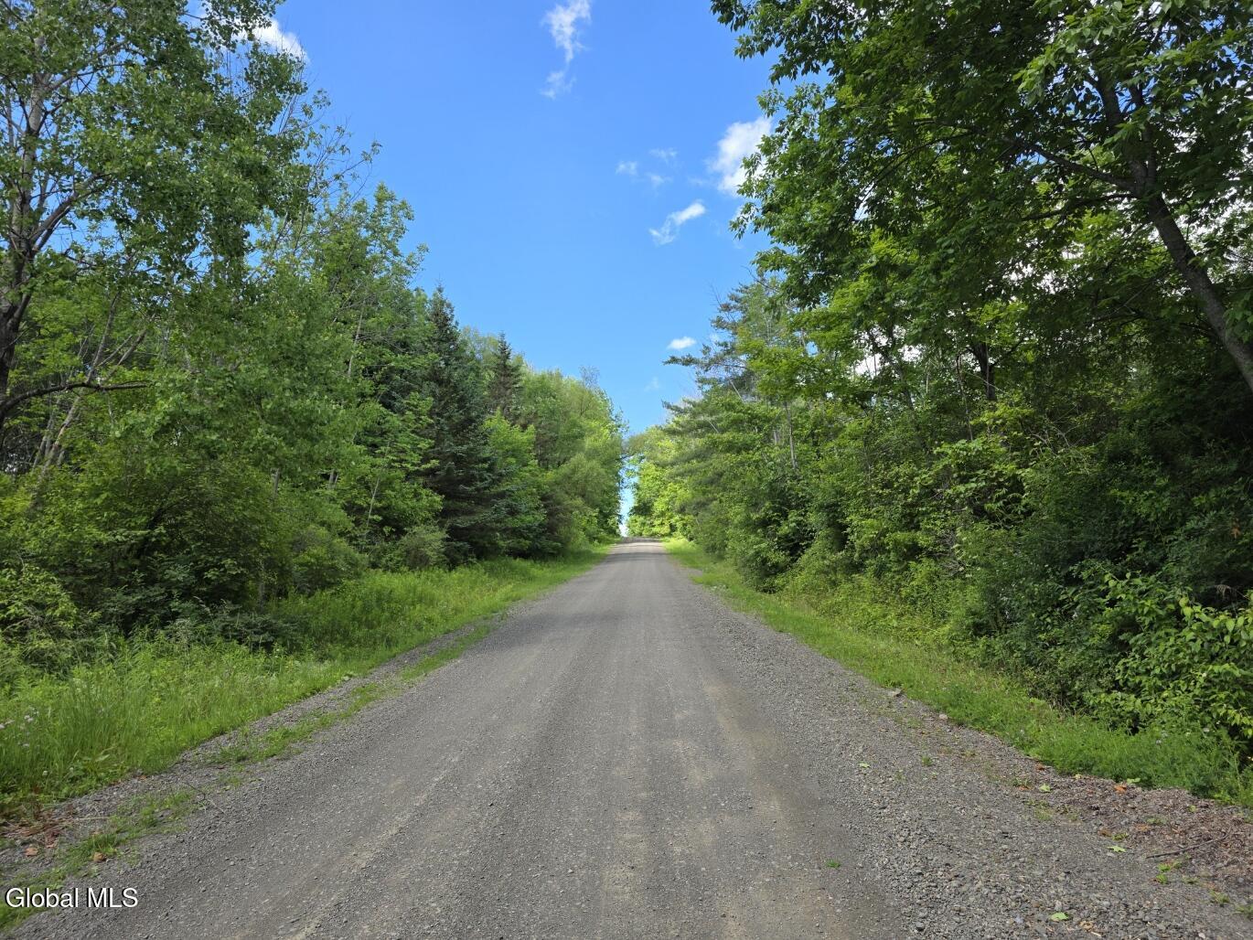 419 Halbert Hill Road Butternuts NY 13776