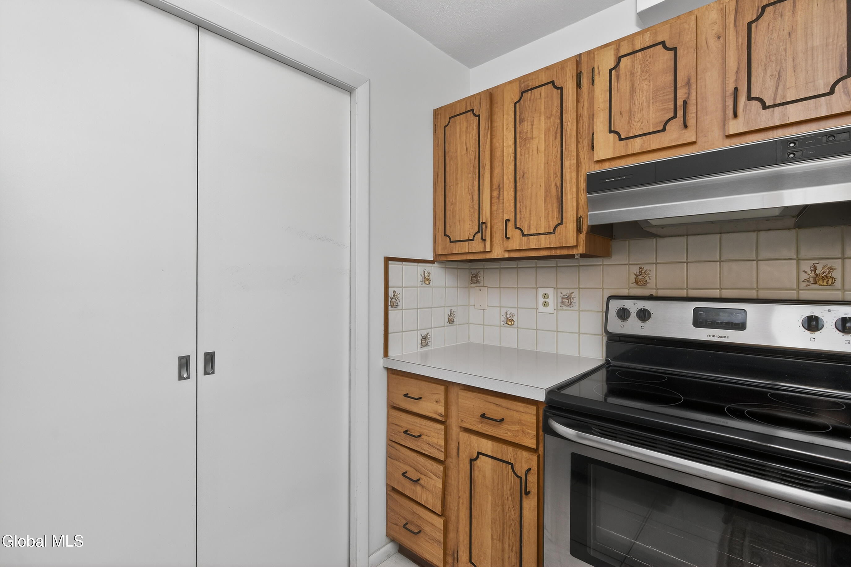 30 Willow Drive Delmar NY 12054