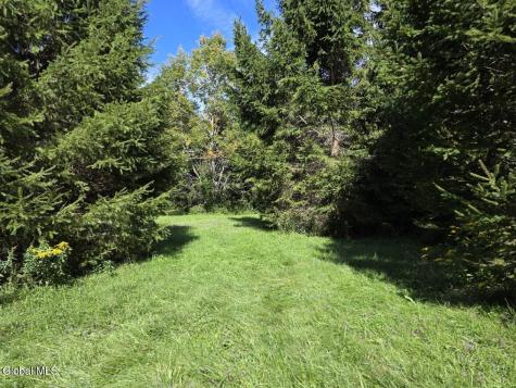 221 Stone Ridge Drive Charlotteville NY 12036